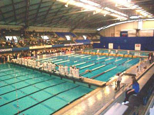 The Olympic pool