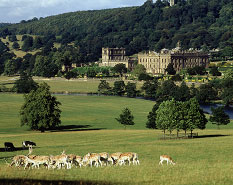 Chatsworth House